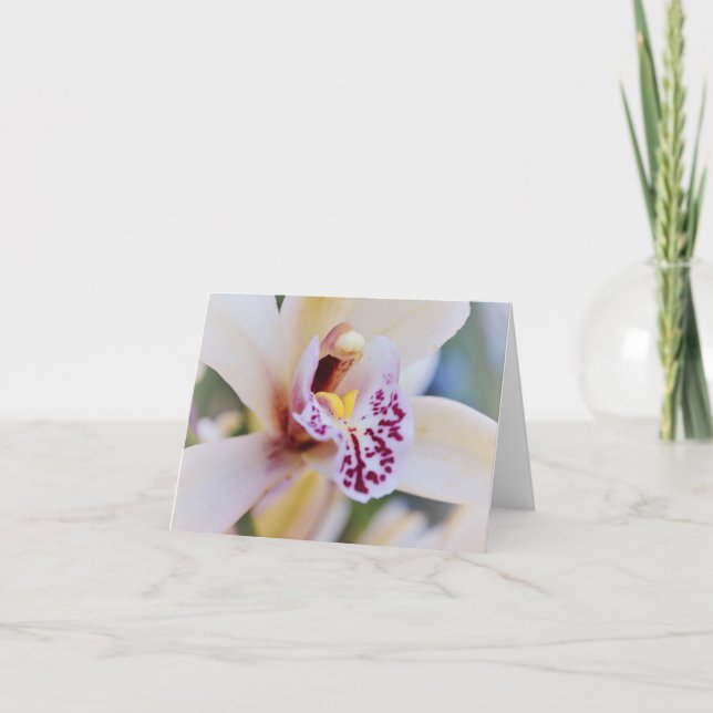 Cream Pink Orchid from Gertie's Garden  Card (Front)