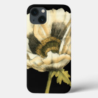 Cream Poppy Flower on Black Background