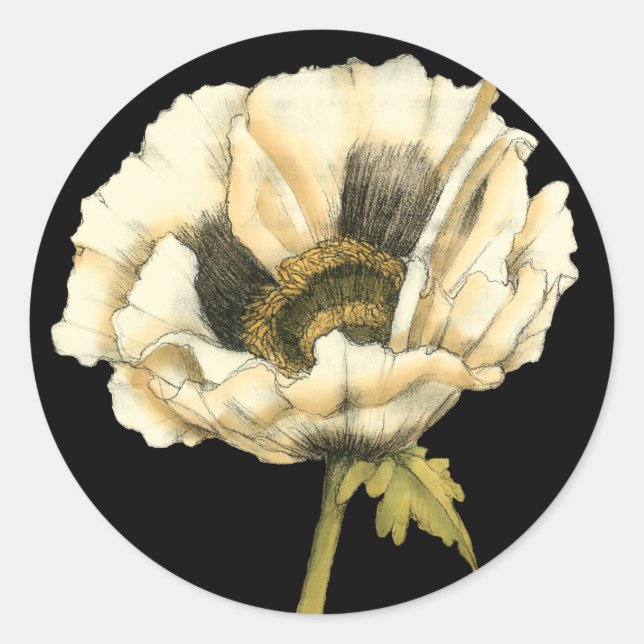 Cream Poppy Flower on Black Background Classic Round Sticker (Front)