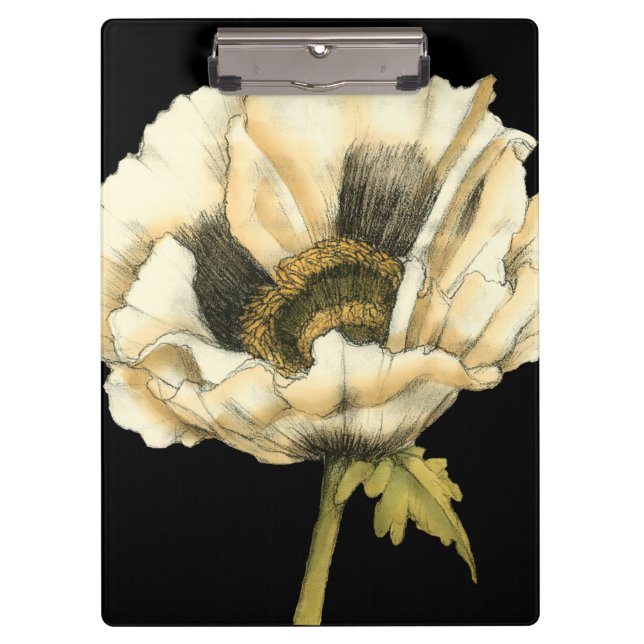 Cream Poppy Flower on Black Background Clipboard (Front)