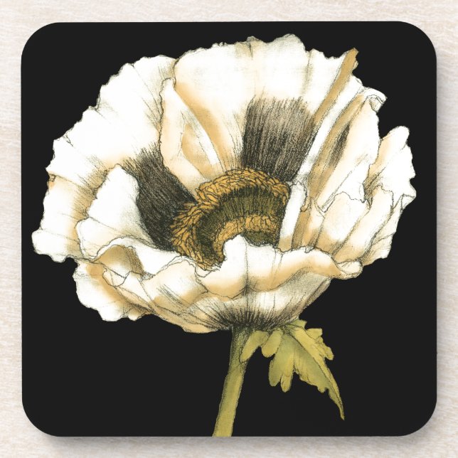 Cream Poppy Flower on Black Background Coaster (Front)
