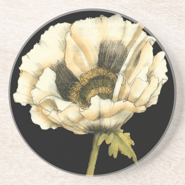 Cream Poppy Flower on Black Background Coaster (Front)