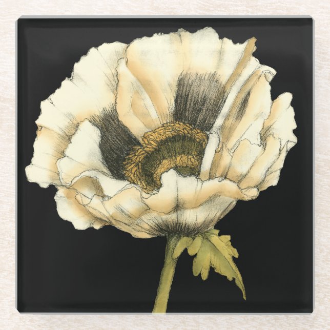 Cream Poppy Flower on Black Background Glass Coaster (Front)