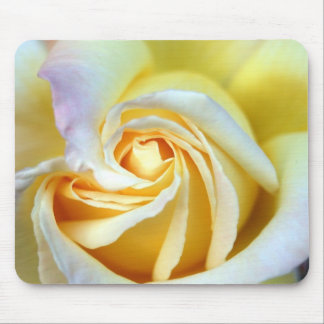 Cream Rose 1 Mousepad