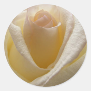 Cream Rose Envelope Closures Classic Round Sticker