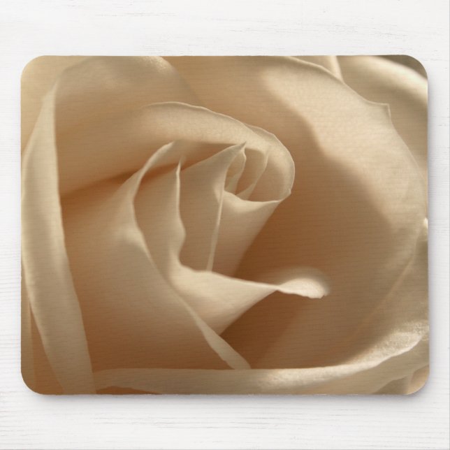 Cream Rose Photo Pretty Floral Flower Petals Bloom Mouse Mat (Front)