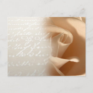 Cream Rose Wedding Customise Postcard