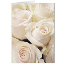 Cream Roses