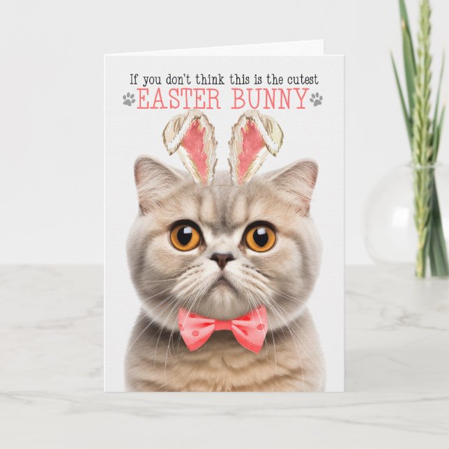 Cream Scottish Fold Cutest Easter Bunny Kitty Puns Holiday Card (Front)