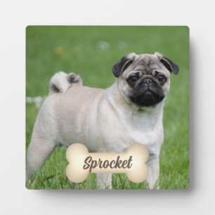 Cream Tone Bone with Pet's Name and Photo Plaque