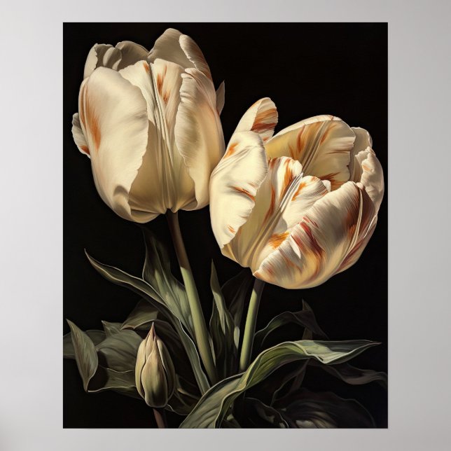 Cream Tulip Flowers Art Print Poster (Front)