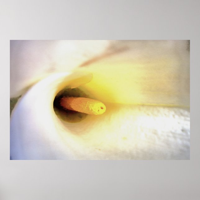 Cream White Calla Lily Close Up Abstract Art Poster (Front)
