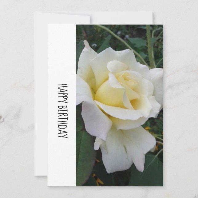 Cream White Rose Birthday Card (Front)