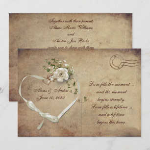 cream white Wedding Rose Postcard