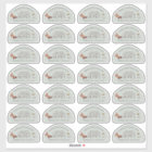 Creamed Cinnamon Pix Skep Temple Mt Sage (28)