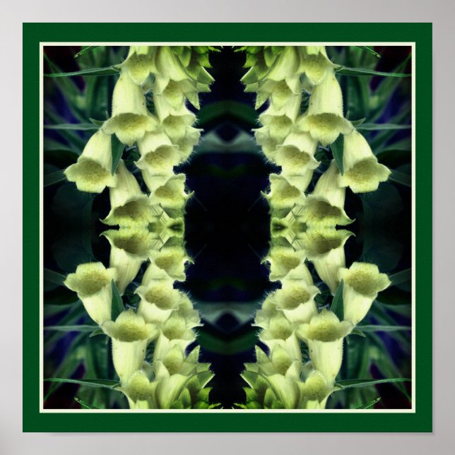 Creamy Foxglove Flowers Mirror Abstract Poster (Front)