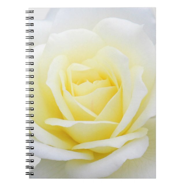 Creamy rose notebook (Front)
