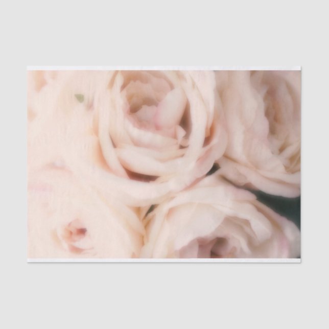 Creamy Soft Blush Pink Roses Elegant Wedding    Tissue Paper (Front)