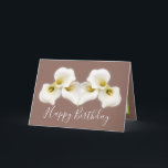 Creamy White Calla Lilies Modern Birthday Card<br><div class="desc">Celebrate a special day with timeless botanical elegance. This modern birthday card features beautiful creamy white calla lilies set against a rich, stylish color background, creating a sophisticated and serene floral design. Perfect for those who appreciate minimalist, nature-inspired art, and refined beauty, this card is ideal for birthdays of all...</div>