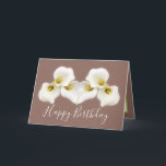 Creamy White Calla Lilies Modern Birthday Card<br><div class="desc">Celebrate a special day with timeless botanical elegance. This modern birthday card features beautiful creamy white calla lilies set against a rich, stylish color background, creating a sophisticated and serene floral design. Perfect for those who appreciate minimalist, nature-inspired art, and refined beauty, this card is ideal for birthdays of all...</div>