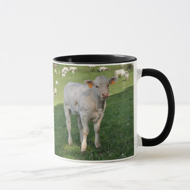 Creamy white Charolais calf Mug (Right)