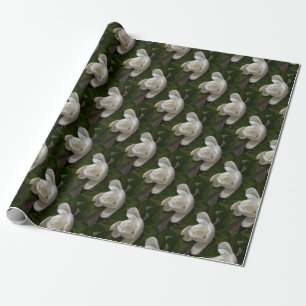 Creamy white magnolia flower bud wrapping paper