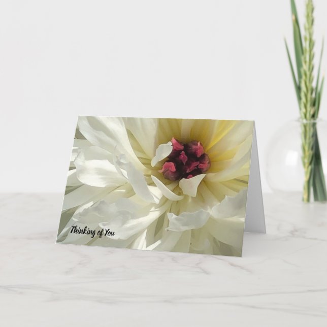 Creamy White Peony Flower Sympathy Card (Front)