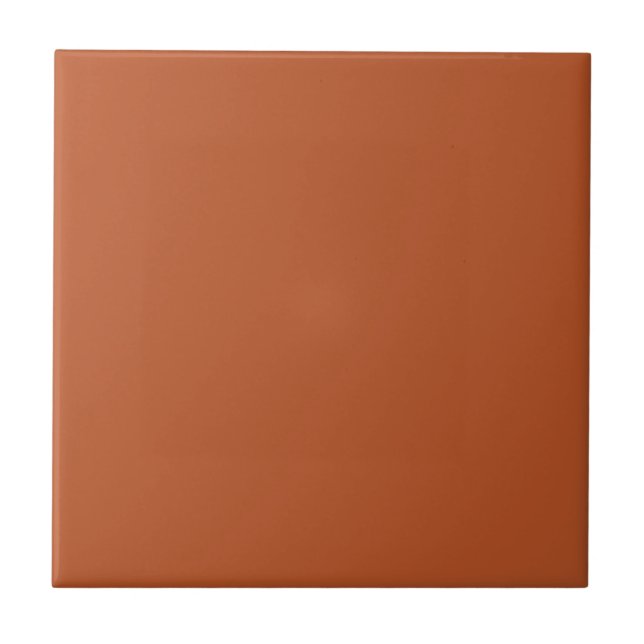 Create a Cosy Warm Atmosphere with Spicy Red-Brown Tile (Front)
