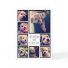 Create a Custom Photo Collage with 8 Photos