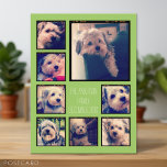 Create a Custom Photo Collage with 8 Photos Postcard<br><div class="desc">Use your favourite photo or pictures to make a fun keepsake to share with friends. A minimalist design with only snapshots and a text block.</div>