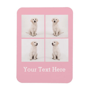 Create Instagram Family Photo Dog Cat Photos Magnet