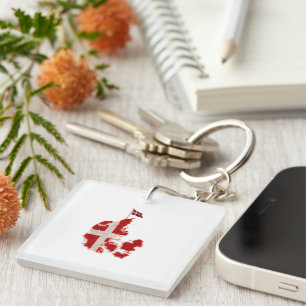 create your future-positive mindset key ring