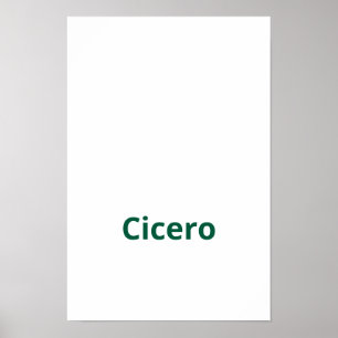 Create Your Own 12"x18" Matte Poster