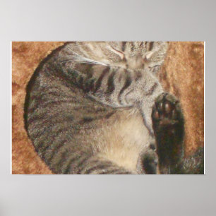 Create Your Own 19" x 13" Poster