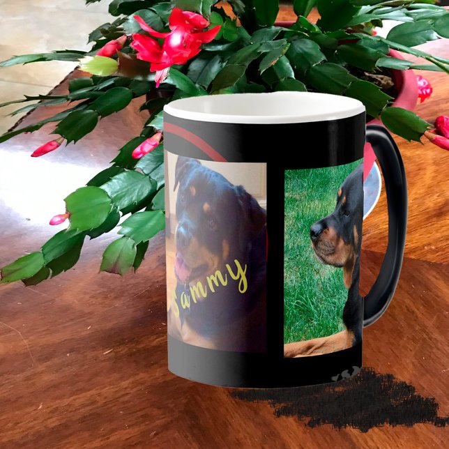 Create Your Own 3-Photo Gift Coffee Mug (Creator Uploaded)