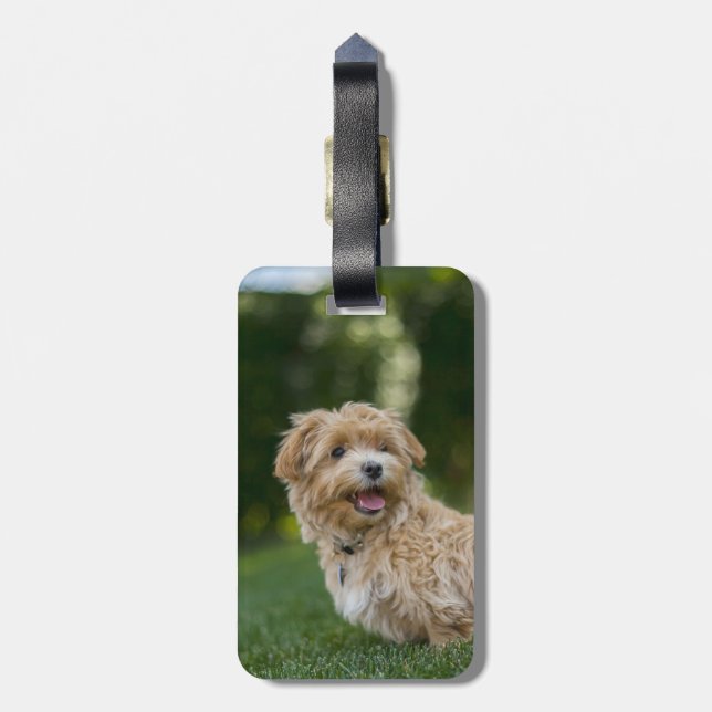 Create Your Own Add Photo Custom Luggage Tag (Back Vertical)