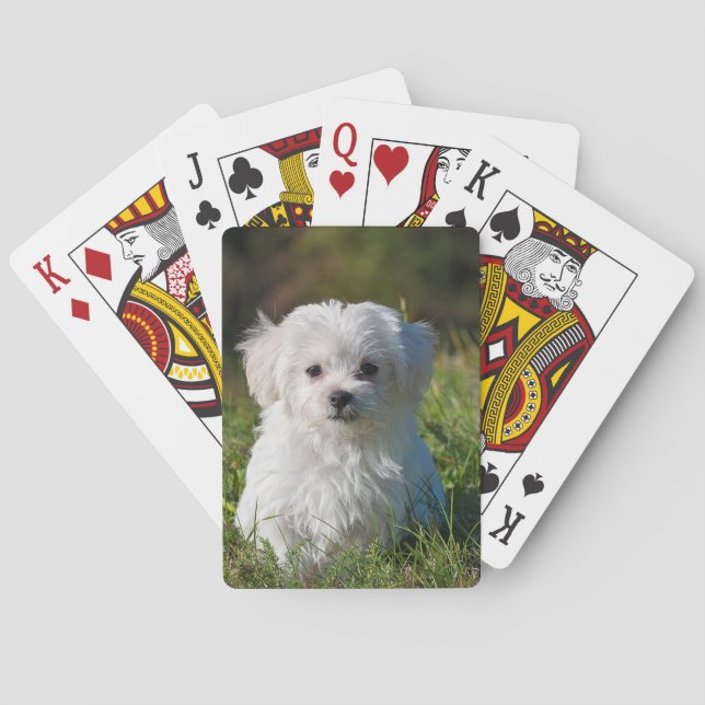 Create Your Own Add Photo Custom Playing Cards (Back)