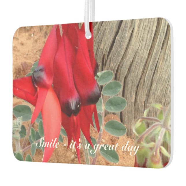 Create your own air freshener (Left)