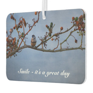 Create your own air freshener