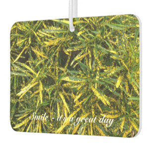 Create your own air freshener