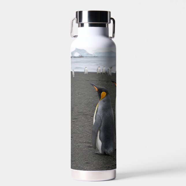 Create Your Own Antarctic Wildlife Insulated Water Bottle (Front)
