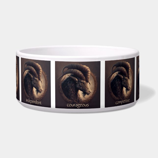Create Your Own Astrology Zodiac Aries (Front)