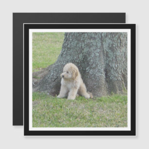 Create Your Own Black & White Square Photo Magnet