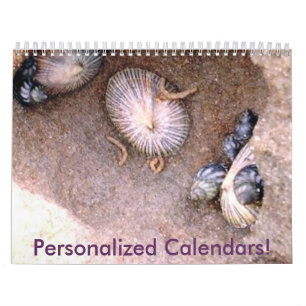 Create Your Own Calendar