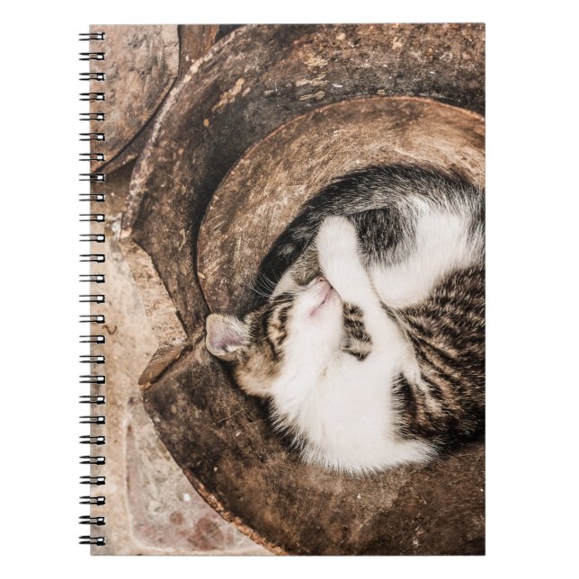 Create Your Own - Cat Nap Notebook (Front)