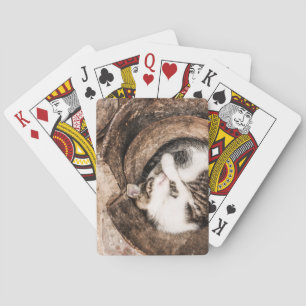 Create Your Own - Cat Nap Playing Cards