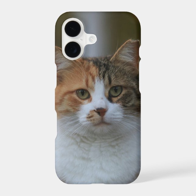 Create Your Own Cat Pet Photo Custom Picture (Back)