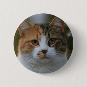 Create Your Own Cat Pet Photo Custom Picture 6 Cm Round Badge