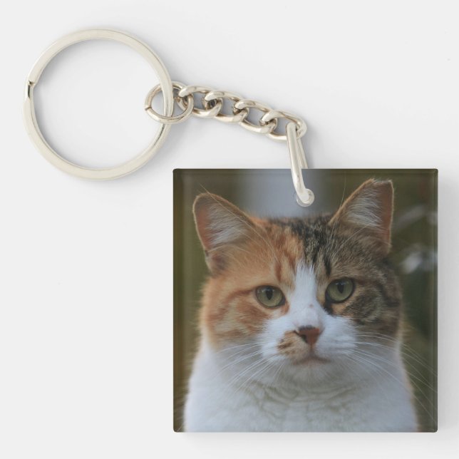 Create Your Own Cat Pet Photo Custom Picture Key Ring (Front)