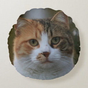 Create Your Own Cat Pet Photo Custom Picture Round Cushion